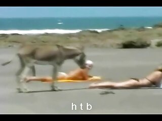 Biseksuele mmf gratis lesbische seksfilms terugverdientijd...